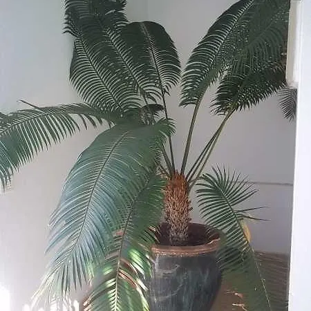 Apartamento Limisulow